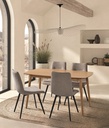 MESA COMEDOR DT-504