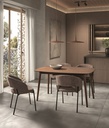 MESA COMEDOR DT-504