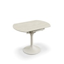 MESA COMEDOR DT-534