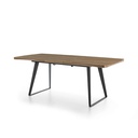 DINING TABLE DT-110