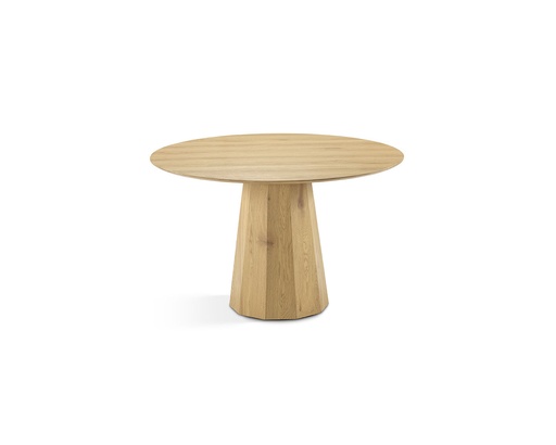 [DT-924] DINING TABLE DT-924