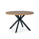 DINING TABLE DT-250 