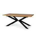 DINING TABLE DT-251 