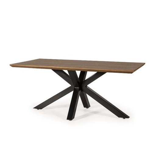 [-] DINING TABLE DT-619 
